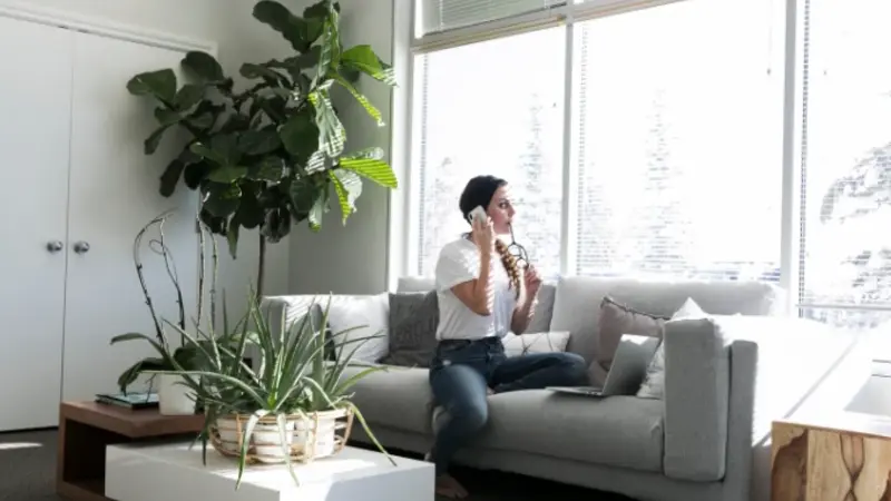 The Role of Nature in Modern Interior Design